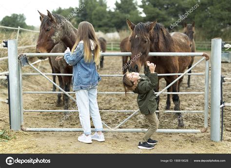 sucer un cheval|Un chien se soulage dans la bouche de sa maîtresse qui lui .